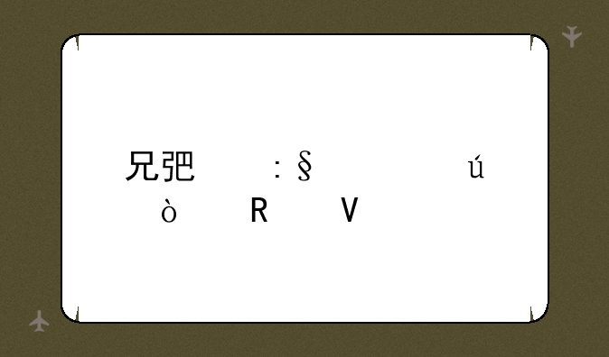 兄弟玩大侠传攻略