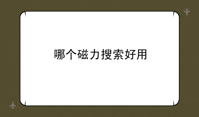 哪个磁力搜索好用