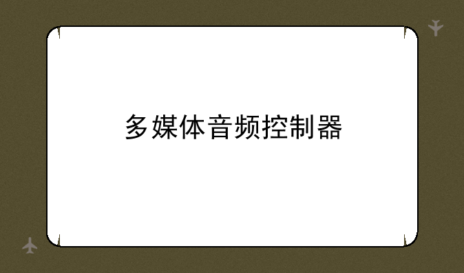 多媒体音频控制器