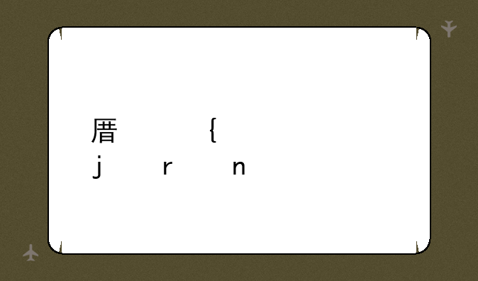 原神奇怪的圆盘