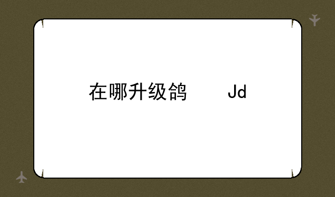 在哪升级鸿蒙2.0