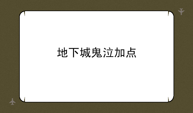 地下城鬼泣加点
