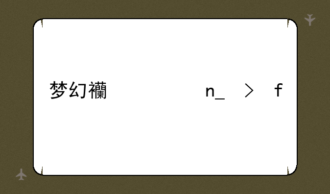 梦幻西游盗号器