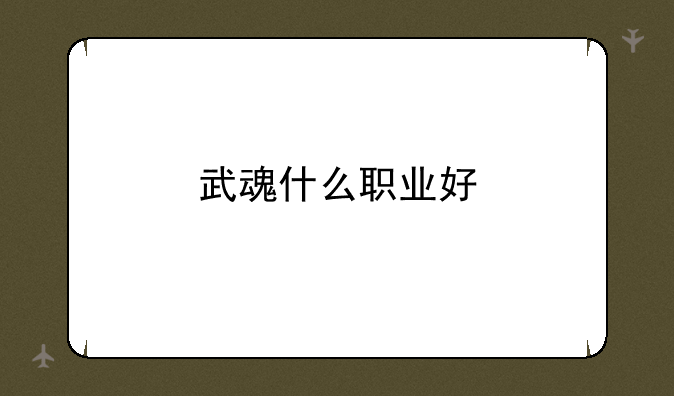 武魂什么职业好