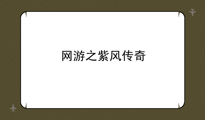 网游之紫风传奇