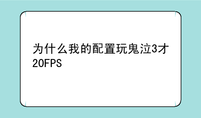 为什么我的配置玩鬼泣3才20FPS