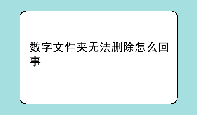 数字文件夹无法删除怎么回事