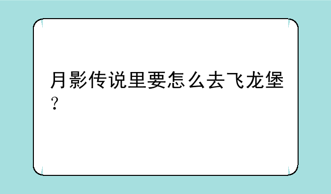 月影传说里要怎么去飞龙堡？
