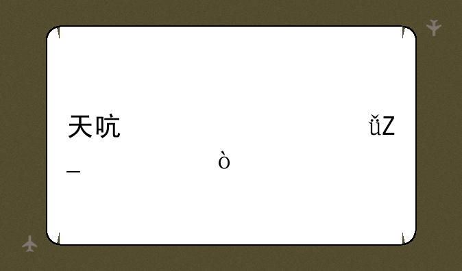 天启者大乱斗出装？