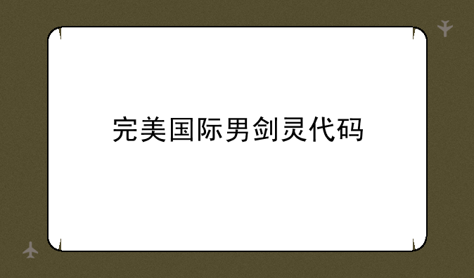 完美国际男剑灵代码