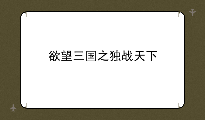欲望三国之独战天下