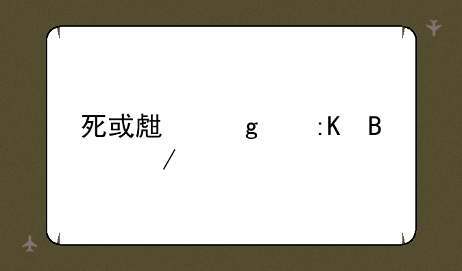 死或生沙滩排球下载