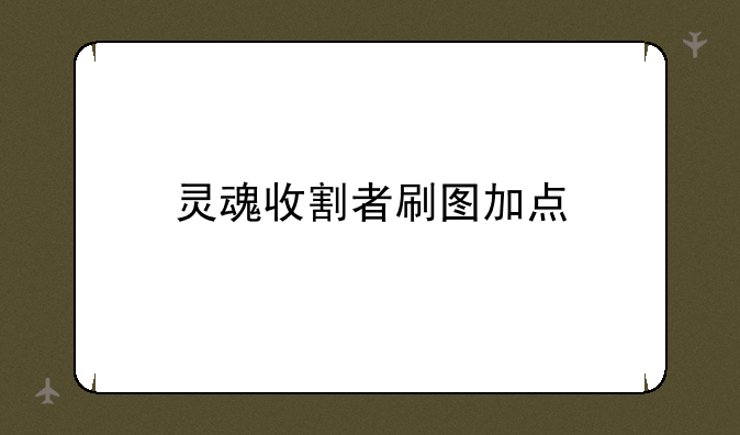 灵魂收割者刷图加点
