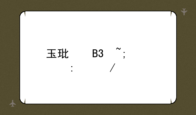 玉环同城游大厅下载
