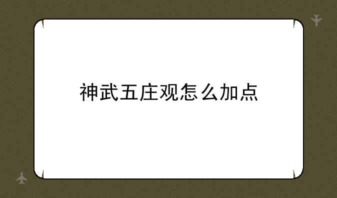 神武五庄观怎么加点