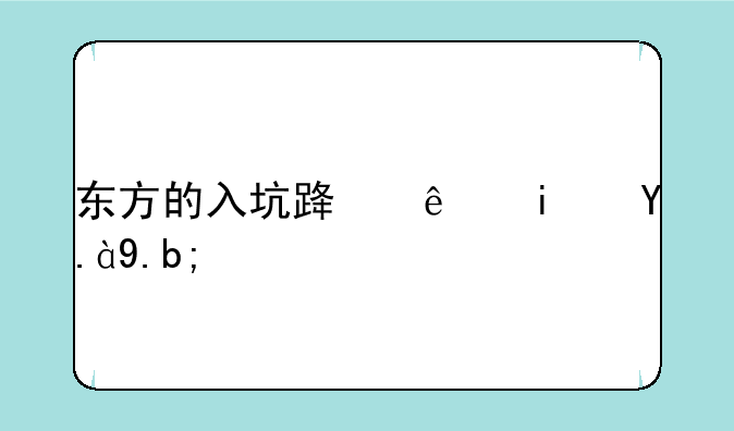 东方的入坑路线是什么？