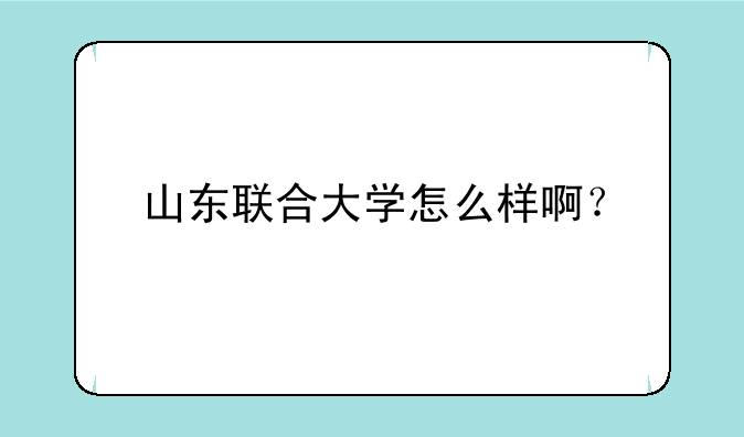 山东联合大学怎么样啊？