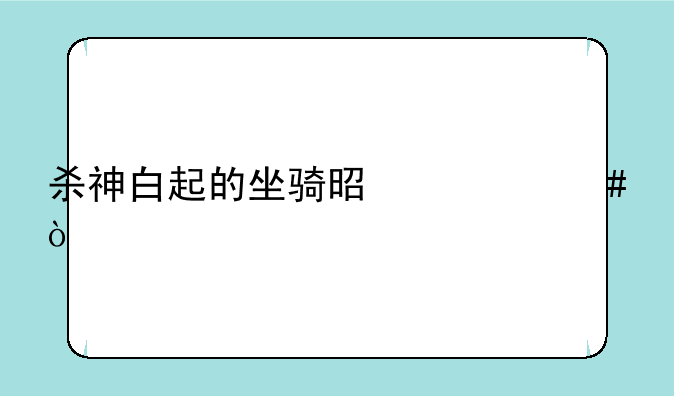 杀神白起的坐骑是什么？