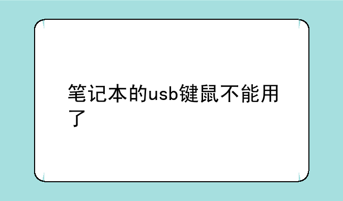 笔记本的usb键鼠不能用了