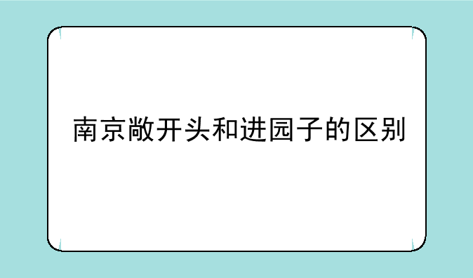 南京敞开头和进园子的区别