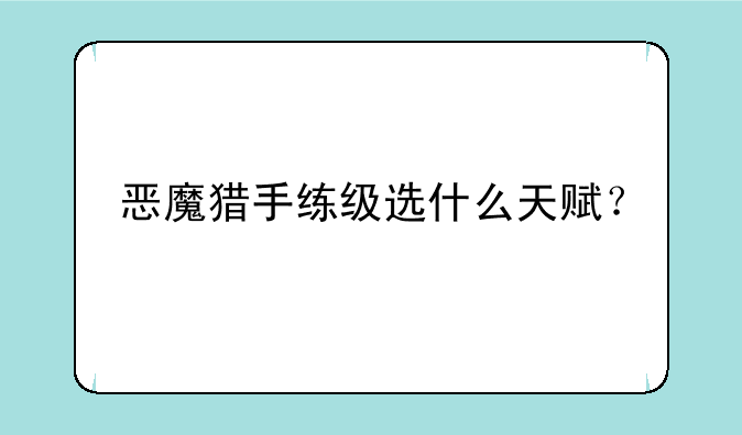 恶魔猎手练级选什么天赋？