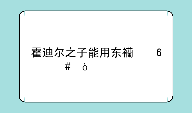 霍迪尔之子能用东西换么？