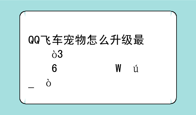 QQ飞车宠物怎么升级最快，点卷如何得？