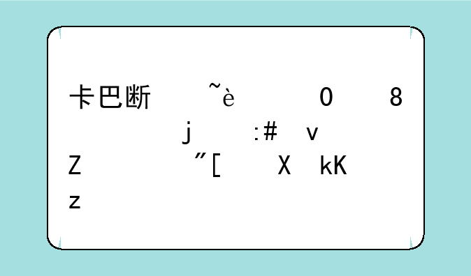 卡巴斯基2010,9.0.0.736的授权文件或激活码