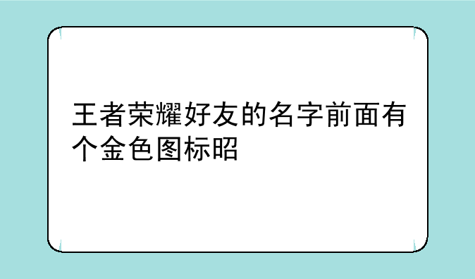 王者荣耀好友的名字前面有个金色图标是什么