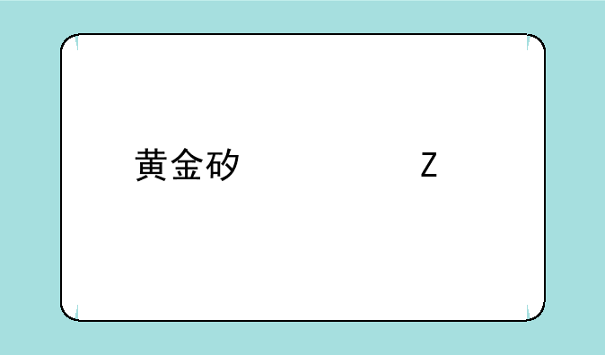 黄金矿工中文版每关个有多少砖石、袋子，应该怎么买道具？请高手指教。重谢