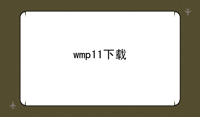 wmp11下载