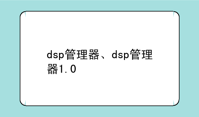 dsp管理器、dsp管理器1.0