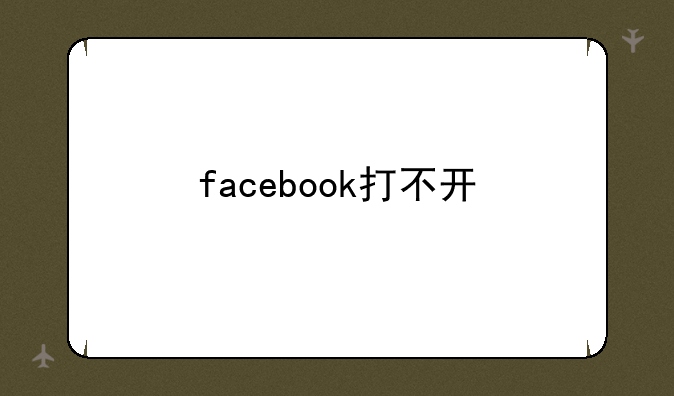 facebook打不开