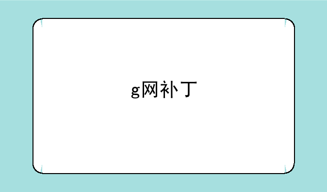 g网补丁