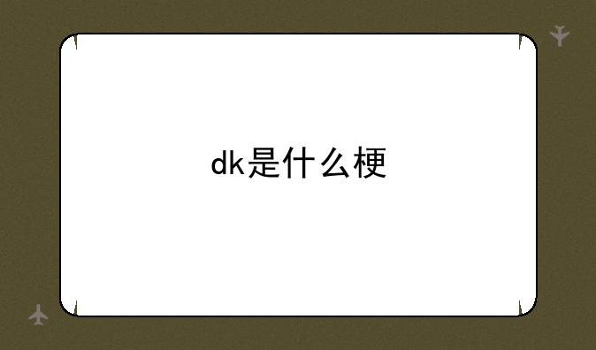 dk是什么梗