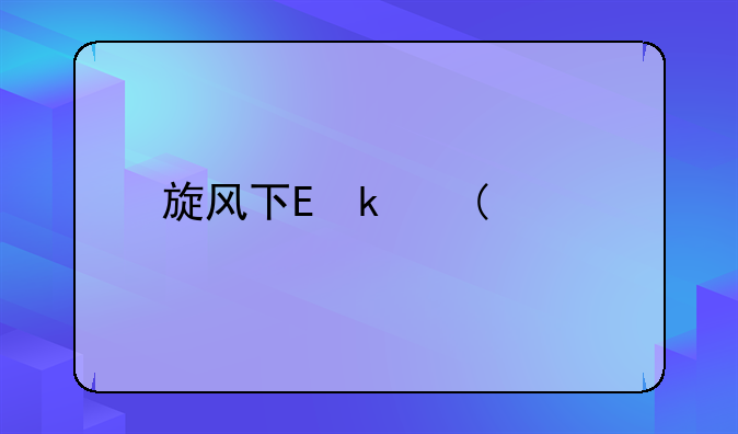 旋风下载器下载