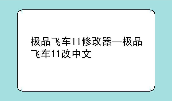 极品飞车11修改器—极品飞车11改中文