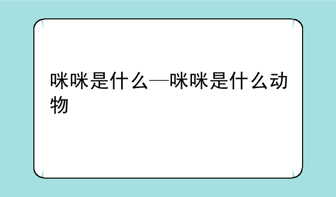 咪咪是什么—咪咪是什么动物
