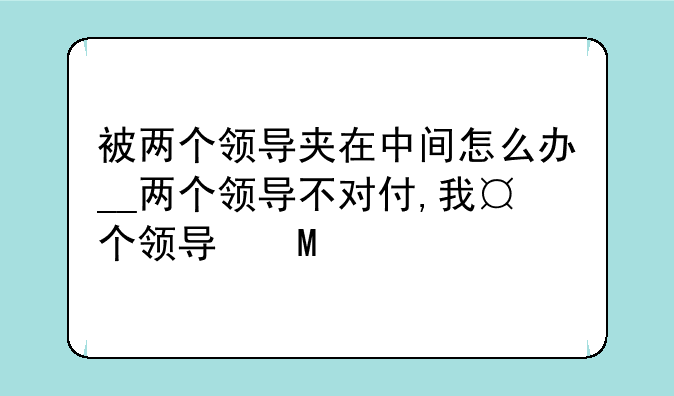 被两个领导夹在中间怎么办__两个领导不对付,我夹在中间应该怎么办