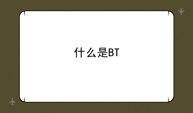 什么是BT