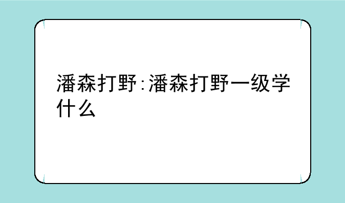 潘森打野:潘森打野一级学什么