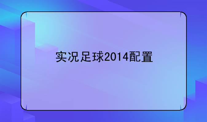 实况足球2014配置