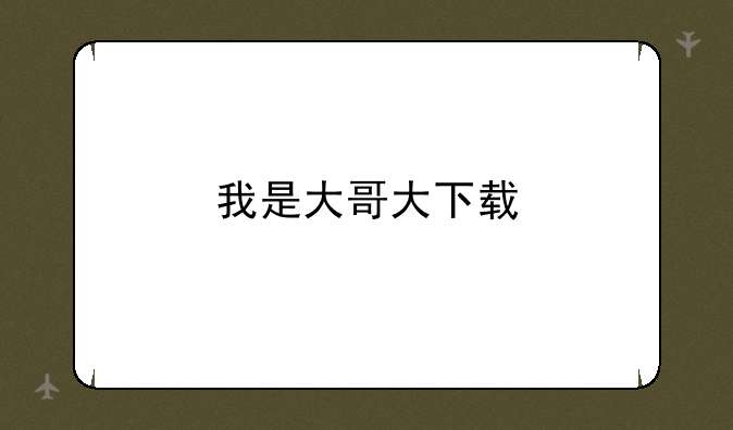 我是大哥大下载