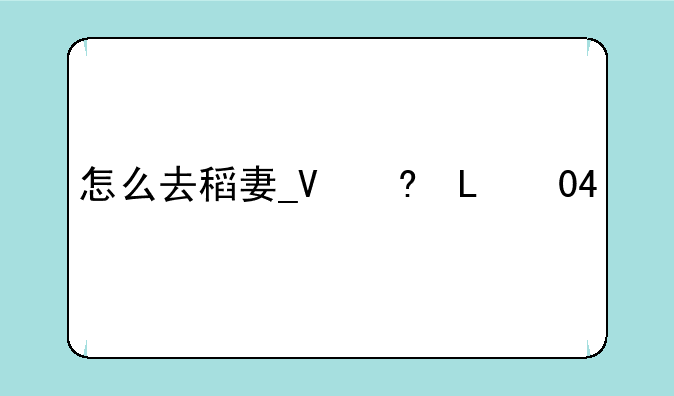 怎么去稻妻__原神怎么去稻妻
