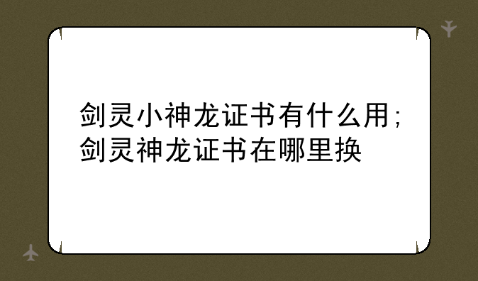 剑灵小神龙证书有什么用;剑灵神龙证书在哪里换