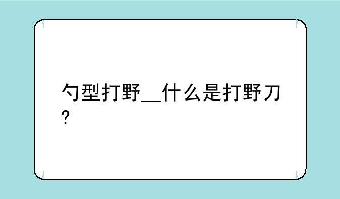 勺型打野__什么是打野刀?